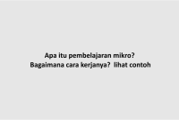 Apa itu pembelajaran mikro? Bagaimana cara kerjanya? lihat contoh