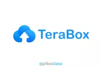 Kelebihan dan Kekurangan Terabox yang Wajib diketahui