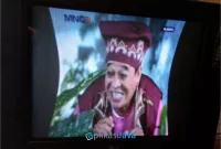 TV Polytron Gambar Menyempit Kanan Kiri
